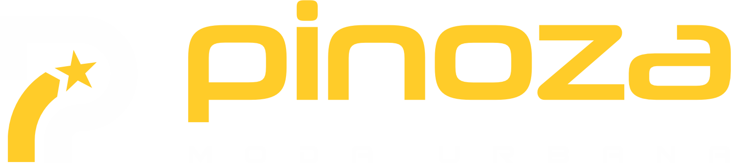 Pioneer